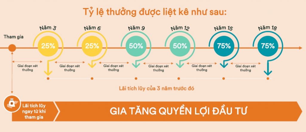Các giai đoạn xét thưởng quyền lợi duy trì hợp đồng định kì của FWD Đón đầu thay đổi 3.0