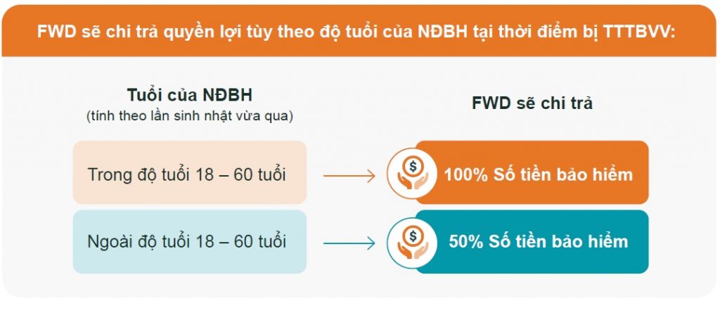 Hỗ trợ thu nhập trường hợp thương tật toàn bộ vĩnh viễn hoặc tử vong theo độ tuổi