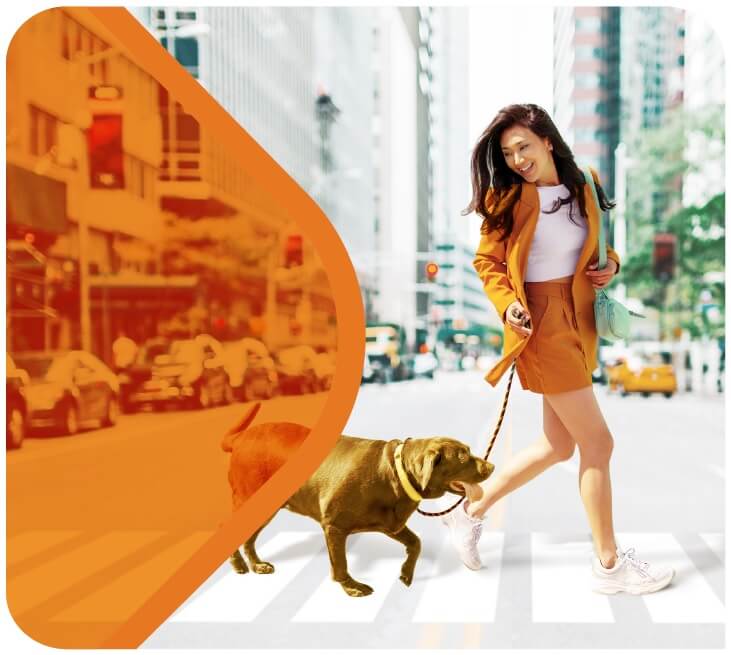 FWD Phụ Nữ Hiện Đại