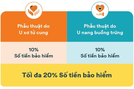 Quyền lợi nâng cao nhóm 1 của sản phẩm FWD Phụ nữ hiện đại
